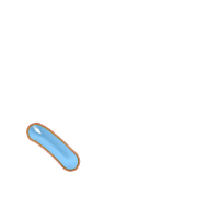 256