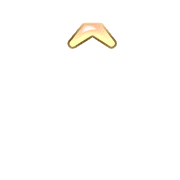 231