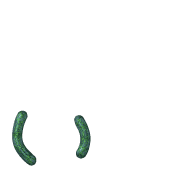 048