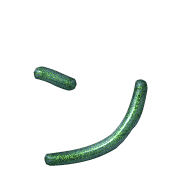 126