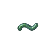 224
