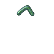 231