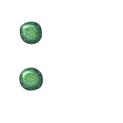 244