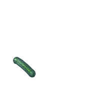 256