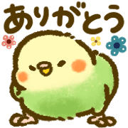 005