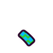 256