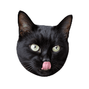 010