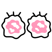 016