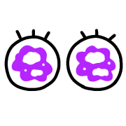 009