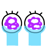 010