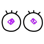 019