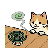 006
