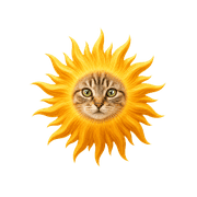 016