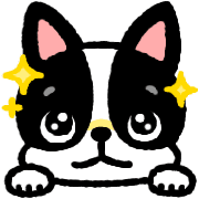 008