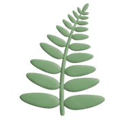 025
