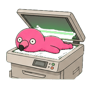 010