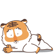 003