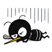 017