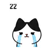 019