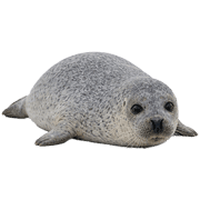 026