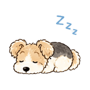 020