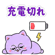 008