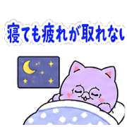 010