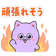 031