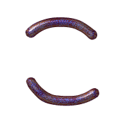010