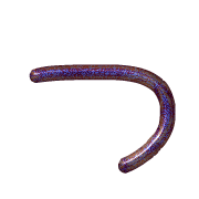 018