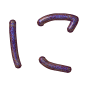 022