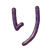 040