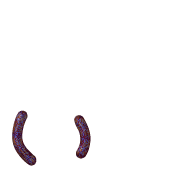 048