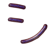092