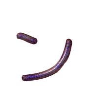 126