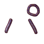 156