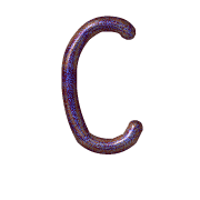 164