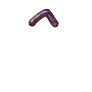 231