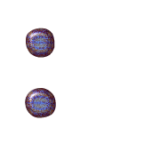 244
