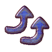 303