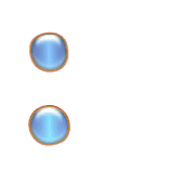 244