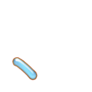 256