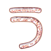 003