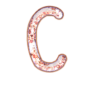 164