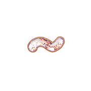 224