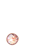 246