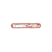251