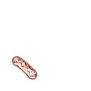 256