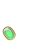 256