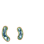 048